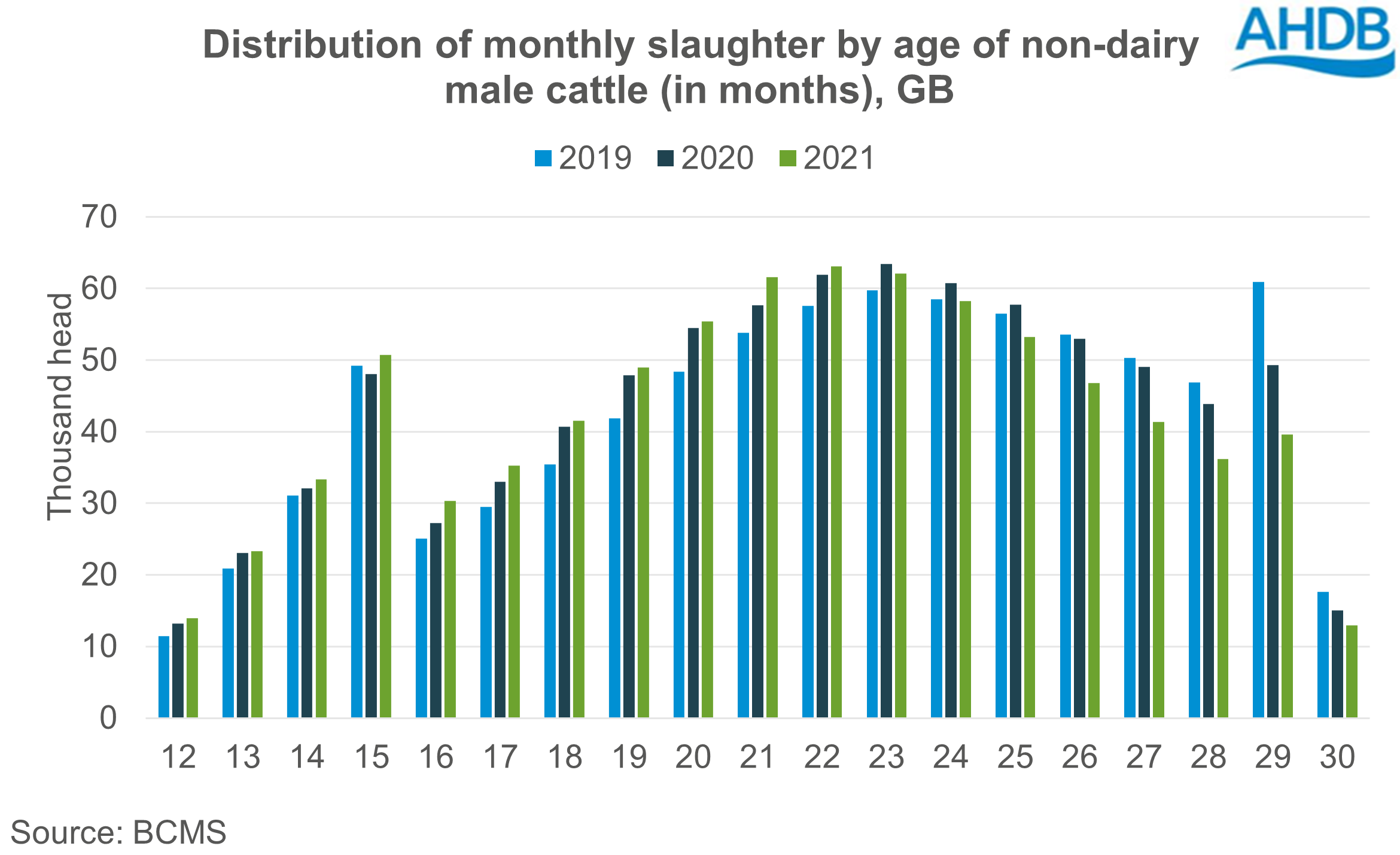 chart showing distribution of monthly cattle slaughter by age in months GB - non dairy males